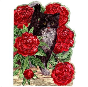 Victoriana - Greeting Cards and Prints
