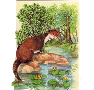 Victoriana - Greeting Cards and Prints