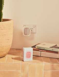 Coconut & Tuberose Fragrance Flask High Summer