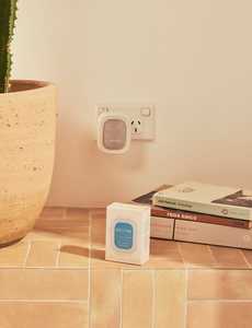 Sea Salt & Pineapple Fragrance Flask High Summer