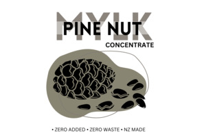 Pine Nut Mylk Concentrate Mylk made here VV Mylk