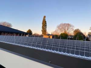 Products: Bird Spikes (5 Prong)