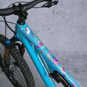 Accessories Frame Protection: DYEDBRO FRAME PROTECTION UNICORN