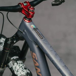 DYEDBRO FRAME PROTECTION EWS MOUNTAINS WHITE
