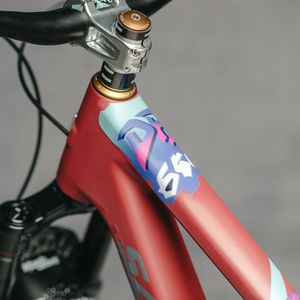 Accessories Frame Protection: DYEDBRO FRAME PROTECTION DB650 BLUE