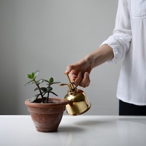 Watering: Haws Mister
