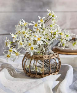 Riviera Table Vase by French Country Collections