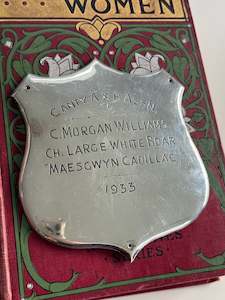Curiosities 1: Sterling Silver Plaque Canterbury A & P 1933