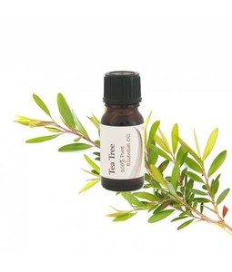 Products: Essential Oil Tea Tree 12ml - Viola Organics