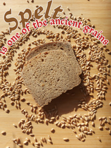 Products: Spelt ( Dinkel or Farro) Wholemeal Sourdough Bread 900g