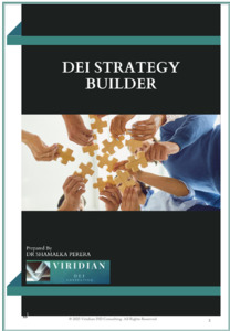 DEI Strategy Builder Viridian DEI