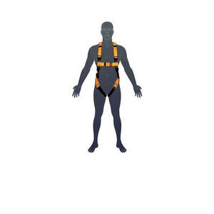 Height Safety 1: ESSENTIAL BODY HARNESS