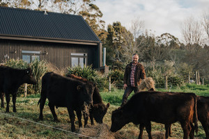 Self Sufficiency on the Home Block Vital Harvest