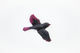 Soaring Bird - Beetroot Glass-Effect - Vitality Art Studio