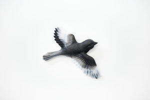Products: Soaring Bird - Monochrome - Vitality Art Studio