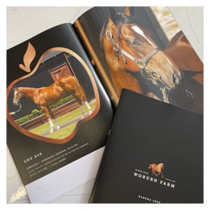 Products: Equine Branding and Promotional Material