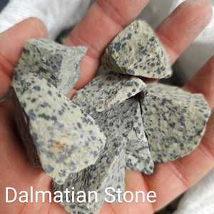 Products: Gemstones: Uncut Dalmatian Stones - VOLANS