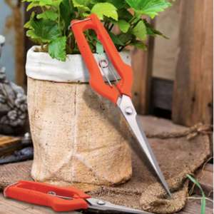 Sagawa Pruning Shears: Precision SK5 Stainless Steel Garden Tool