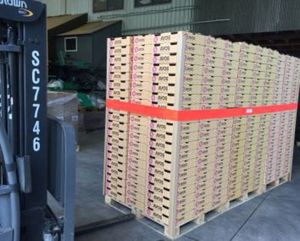 Warehousing & Transport: 100 mm x 5 mtr LOGISTRAP®
