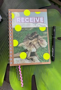 Visual Diary // Receive