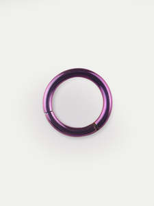 Titanium Plated Hinged Ring 14G