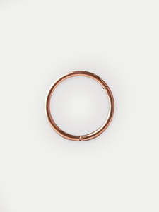 Piercing Jewellery Hinged Rings: Titanium Plated Hinged Ring 20G