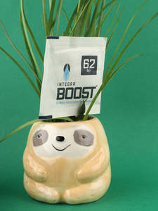 Stash Accessories: Integra Boost 8GM 62% Humidity Pack