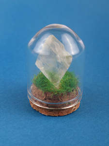 Crystals Crystals: Gemstone & Mineral Glass Dome