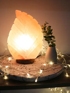 Salt Lamp Leaf Shape