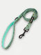 Cosmic Pets Lead