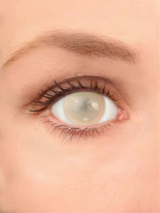 Costume Contact Lenses