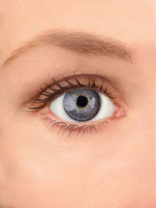 Real Look Contact Lenses