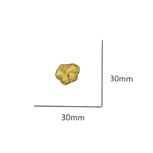 23kt Natural Gold Nugget