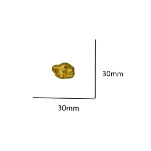 23kt Natural Gold Nugget
