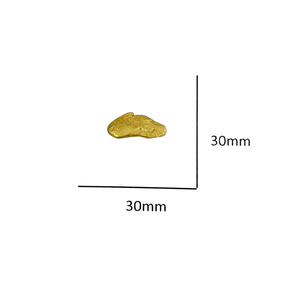 23kt Natural Gold Nugget