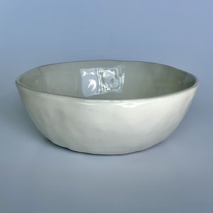 Organic Soup / Noodle Bowl