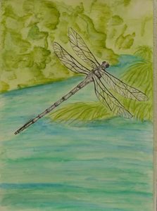 Products: Monday Art Techniques 10-15 years – Term 1