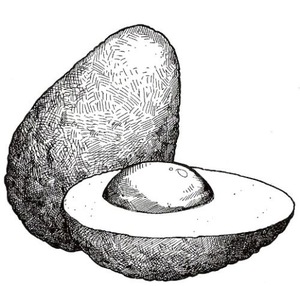 Thursday Drawing Techniques – Term 2