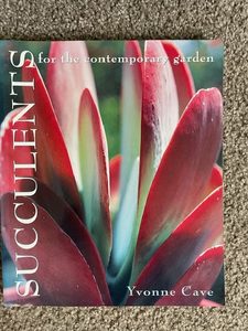 Succulents for the contemporary garden, by Yvonne Cave