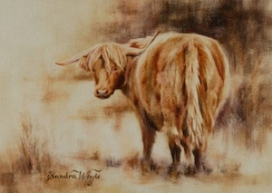 “Highland Cow” by Sandra Whyte