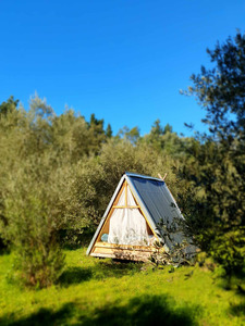 Products: The Wairarapa Eco Farm
