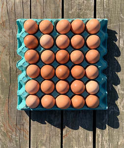 Free Range Trays: Free Range Mixed