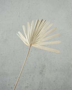 Floral Stems Bar: Palm Sun - Natural