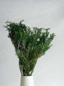 Floral Stems Bar: Thousand Layer Leaf - Green