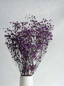 Floral Stems Bar: Dried Gypsophila - Pink