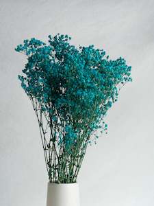 Floral Stems Bar: Gypsophila - Blue