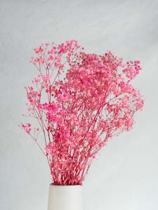 Floral Stems Bar: Dried Gypsophila - Purple