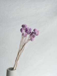 Floral Stems Bar: Preserved Craspedia - Lilac