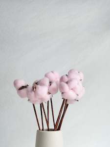 Dried Cotton Bloom - Pink