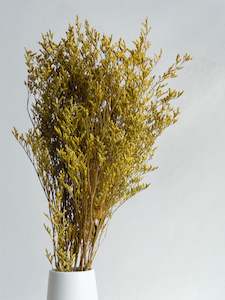 Floral Stems Bar: Limonium - Yellow